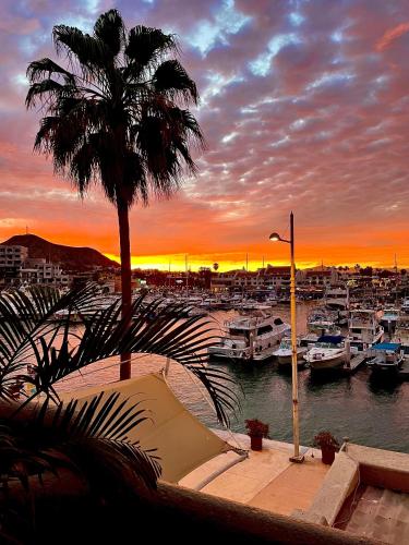a marina with a palm tree and boats in the water at Marina Cabo Plaza "Casa Pura Vida" 108A in Cabo San Lucas