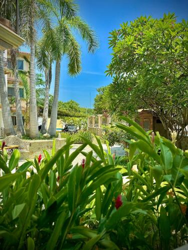 a group of palm trees and plants in a yard at Depa 102A en Huatulco con alberca y terraza 5 min playa in Santa Cruz Huatulco