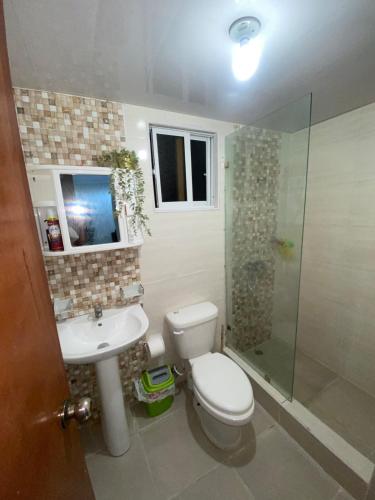 a bathroom with a toilet and a sink and a shower at Cozy apartment 2 rooms 15 minutes air port in San Isidro