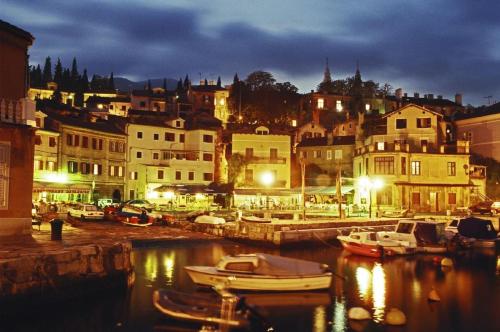 a group of boats docked in a harbor at night at Apartments Camellia & Magnolia in Volosko