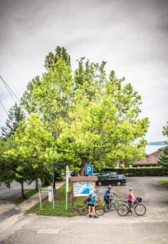 a group of people riding bikes on a road at Fészek -Étel és Hotel- in Zánka
