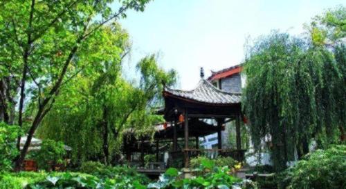Κήπος έξω από το Lijiang Conifer Lishui Yangguang Hotel