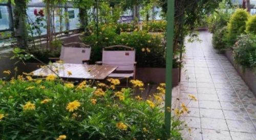 Κήπος έξω από το Xana Lite Neijiang Zizhong Shanghehui Branch