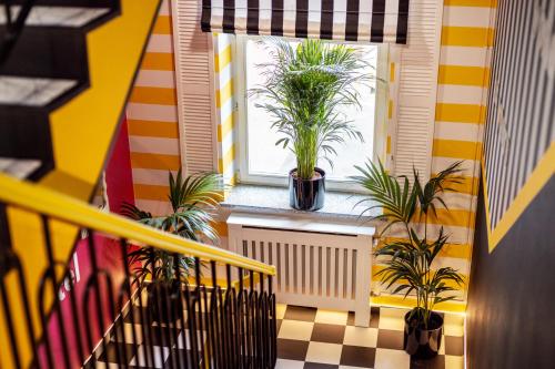 Φωτογραφία από το άλμπουμ του VICE CITY Hostel στο Βρότσλαβ