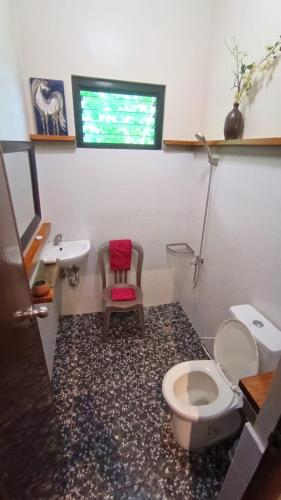 a bathroom with a toilet and a sink at Kembali Vista Villa in Fernandez