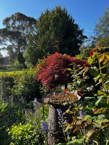 Zahrada ubytování Green Gables B&B Waterfront Apartment with King Bed & Breakfast in Huon Valley