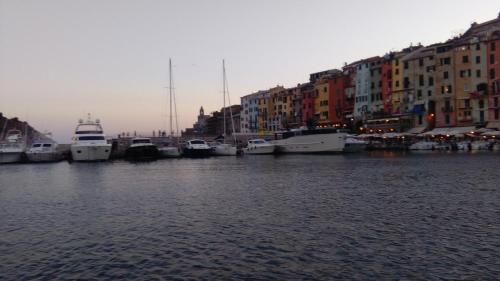 a group of boats docked in a harbor with buildings at Hotel Ristorante Radar in Carrara