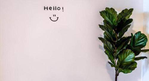 a plant on a white wall with a hello sign at Magic House Hostel in Hua Hin