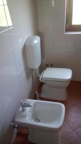 a bathroom with a white toilet and a sink at Rooms Agroturizam Romano in Buje
