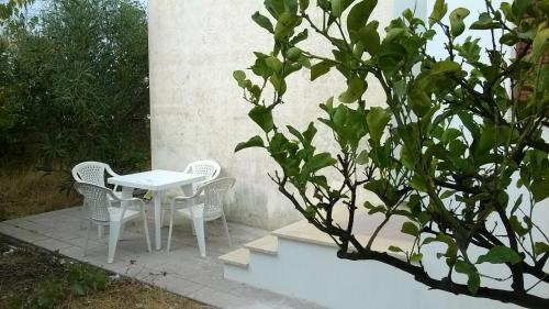 トッレ・スーダにあるVilla Loredanaの木の横の白いテーブルと椅子