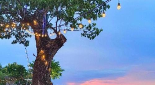 Φωτογραφία από το άλμπουμ του Laekhong River Resort σε Ban Na Muang