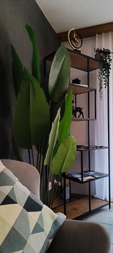 a living room with a plant next to a shelf at Altrove Leukerbad - Modern, Spacious & Central in Leukerbad