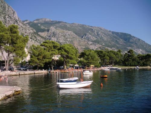 a group of boats in a body of water at Apartments Bajkovic in Kotor
