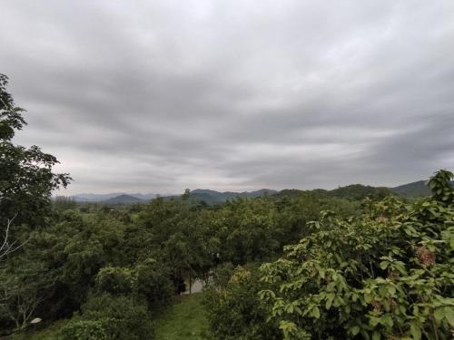 a view of a forest of trees and a river at Banrai Pornsawun in Ratchaburi