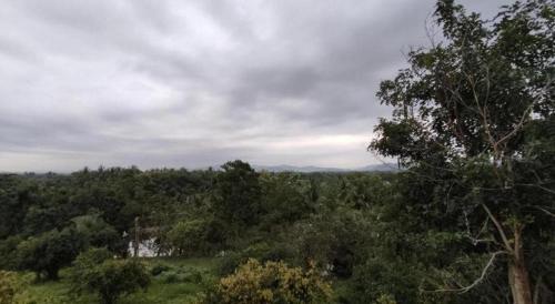 a view of a forest of trees on a cloudy day at Banrai Pornsawun in Ratchaburi