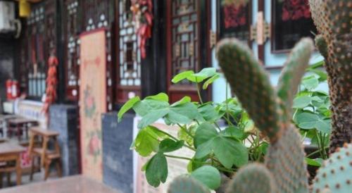 a cactus sitting in front of a building at Pingyao Yufengheng Hotel in Pingyao
