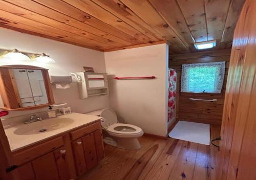 een badkamer met een toilet en een wastafel in een cabine bij Delaware River Poconos Riverfront Masthope in Masthope