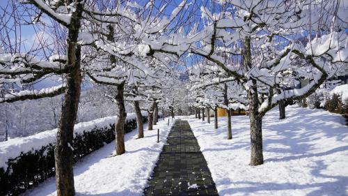 a snow covered path in a park with trees at Hiša na Hribu- A Peaceful Hilltop Escape above river Kolpa in Kostel