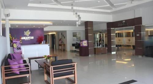 Лобби или стойка регистрации в Amantis Hotel