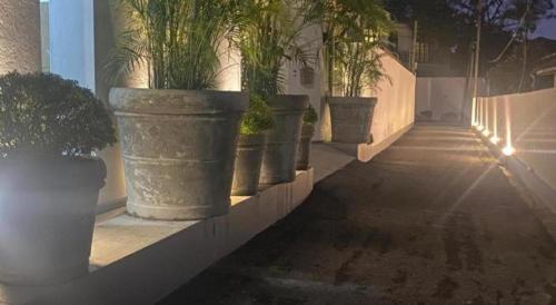 a row of potted plants sitting on a wall at D Villas in Colombo