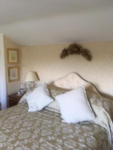 a bedroom with a bed with pillows and a plant on the wall at West Wold Farm House B&B in Barton upon Humber