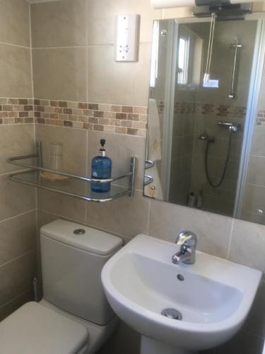 La salle de bains est pourvue de toilettes, d'un lavabo et d'un miroir. dans l'établissement West Wold Farm House B&B, à Barton-upon-Humber