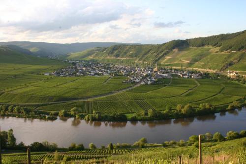 a village in the middle of a river with green hills at Claes Weinquartier - Appartements & Wein by Niko Schmitt in Trittenheim