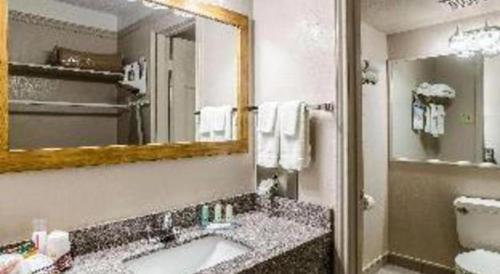 Koupelna v ubytování Quality Inn