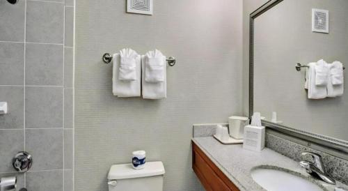 Koupelna v ubytování Quality Inn near Martinsville Speedway