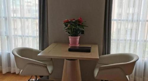 a table with two chairs and a potted plant on it at Dong Cheng Hotel in Shunde