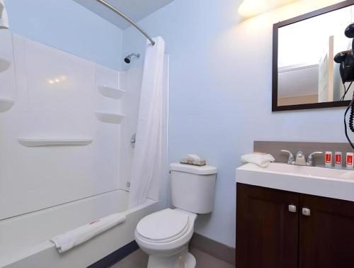 a bathroom with a toilet and a shower and a sink at Econo Lodge Rochester I-90 & I-390 in Rochester