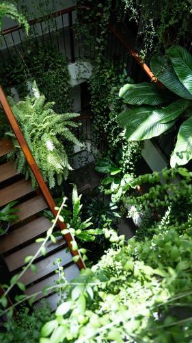 a staircase in a garden with plants at Nicobar Con Dao Hotel in Con Dao