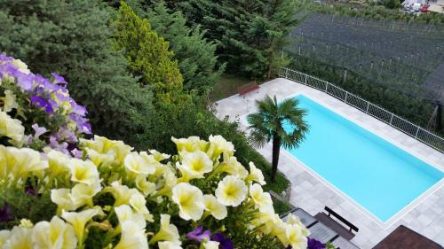Piscina en o cerca de Pension Weinberg