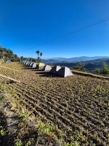 una hilera de tiendas de campaña en lo alto de un campo en Safarnama Hornbill Camping near festival ground, en Jāmb