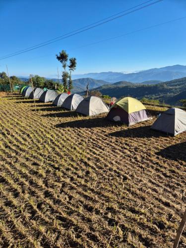 Una hilera de tiendas de campaña situadas encima de un campo en Safarnama Hornbill Camping near festival ground, en Jāmb