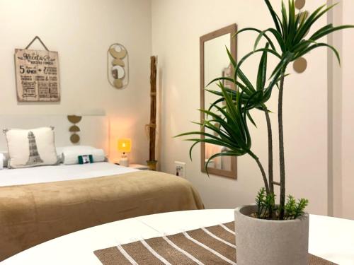 Single Private Ensuite, Baiona