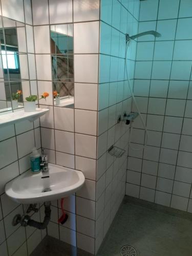 a bathroom with a sink and a shower at Kathøje in Lemvig