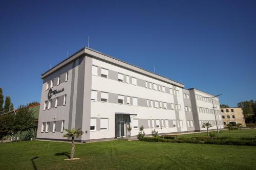 a large white building with a palm tree in front of it at Turbo Szálló Kalocsa in Foktő
