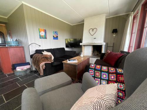 a living room with a couch and a fireplace at Nice And Central With Terrace in Beitostøl