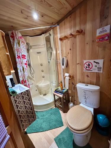 a small bathroom with a toilet and a shower at Mobile home gerardmer in Gérardmer