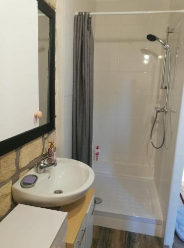 a bathroom with a sink and a shower at Beau Studio in Gouvieux