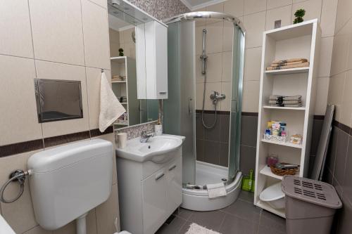 un bagno con doccia, WC e lavandino di Apartman Central Bliss Mostar a Mostar