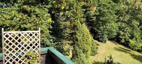 an overhead view of a garden with trees at Prawdzicówka in Zachełmie