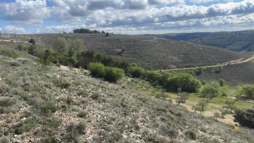 Paisaje cerca de esta casa o chalet
