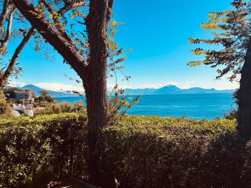 a view of the ocean from a hill with a tree at Charming Posillipo Sea View Ibiscus House in Naples