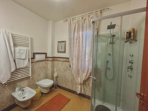 a bathroom with a shower and a toilet and a sink at B&B Mariposa in Collecorvino