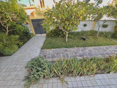 a garden with a brick walkway and trees and plants at B&B Mariposa in Collecorvino