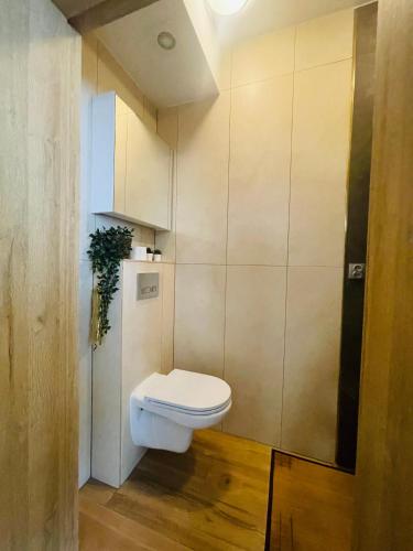 a bathroom with a white toilet in a room at Luxury Apartments in Wrocław