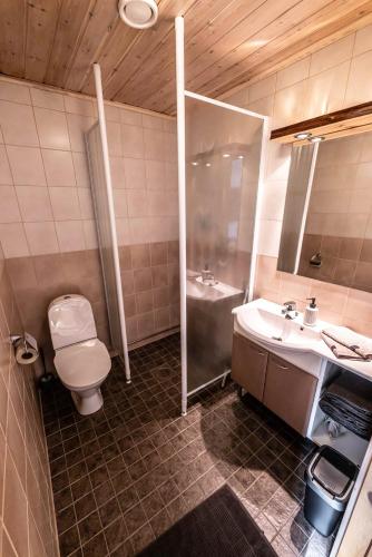 a bathroom with a toilet and a sink and a shower at Isokenkäisten Klubi - Wilderness Lodge in Kiviperä