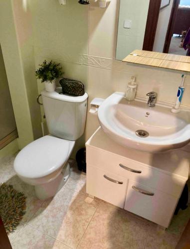 Apartamento acogedor
